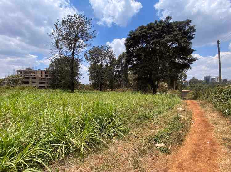 1/2 acre plot for Sale in Ruaka
