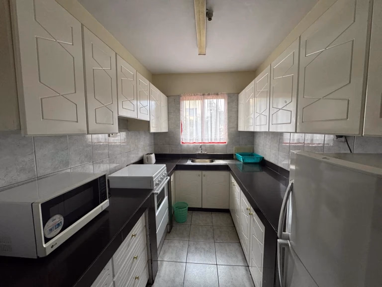 Furnished One Bedroom Apartments Available For Rent In Westlands