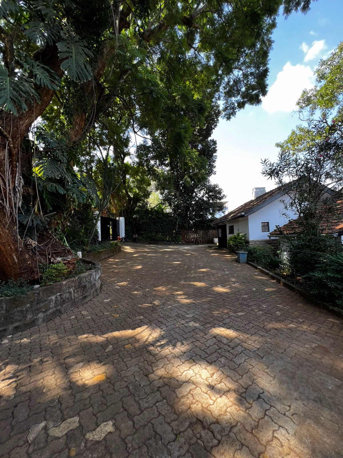 Commercial Property available for Rent