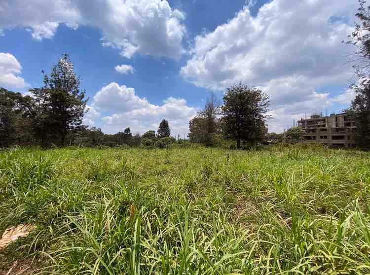 1/2 acre plot for Sale in Ruaka