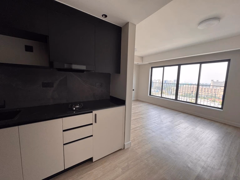 Studio apartment for rent in Upperhill