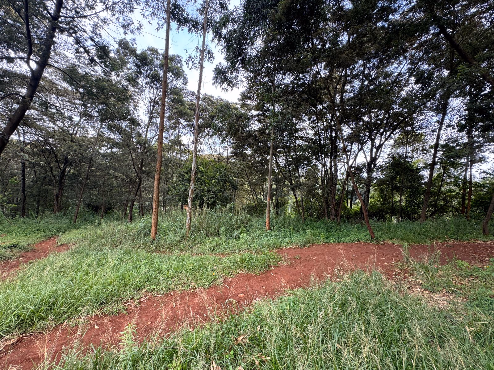 Prime ¼-Acre Plot for Sale – Muthua, Uthiru