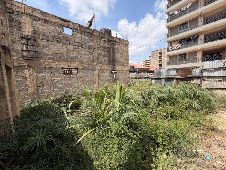 50 by 100 plot for sale on Fedha Estate