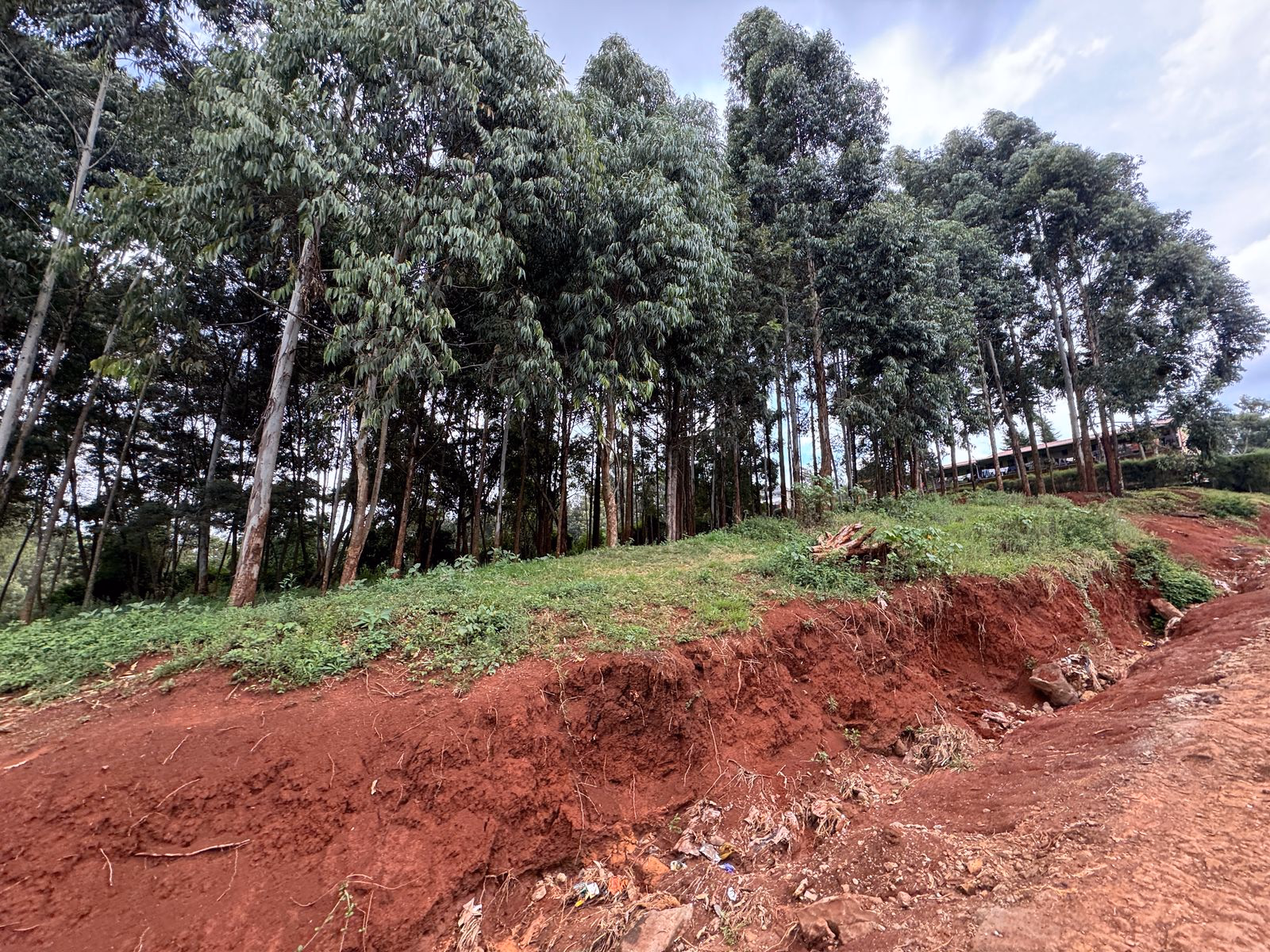 Prime ¼-Acre Plot for Sale – Muthua, Uthiru