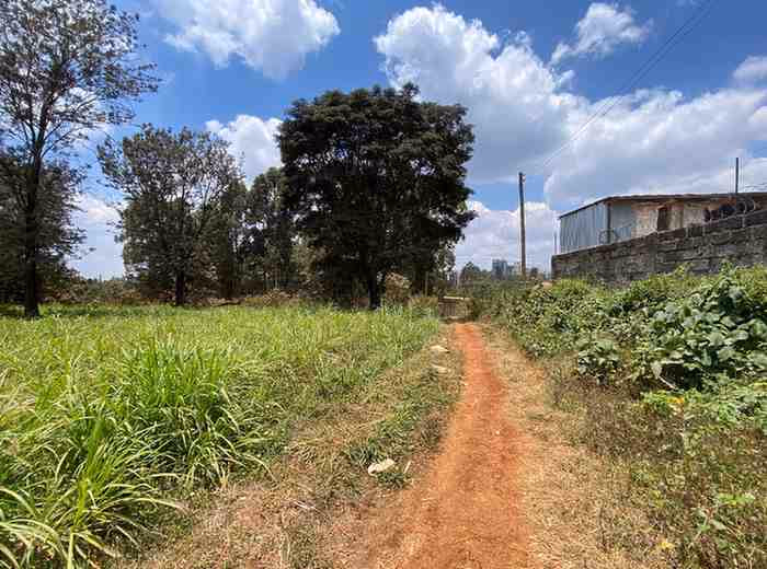 1/2 acre plot for Sale in Ruaka