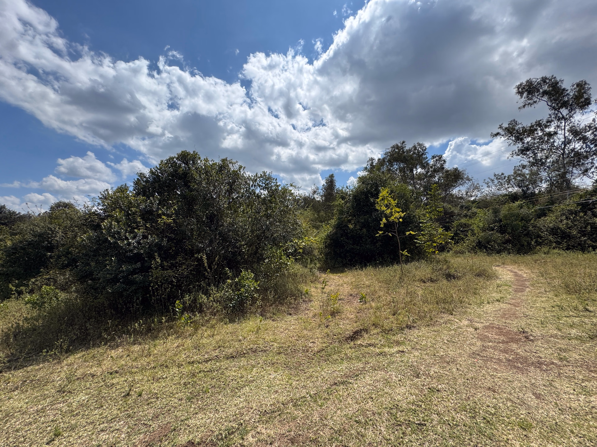 1 acre for sale in Karen Hardy