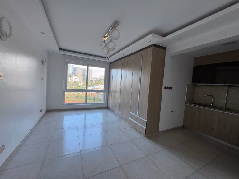 Studio Apartment For Rent In Westlands