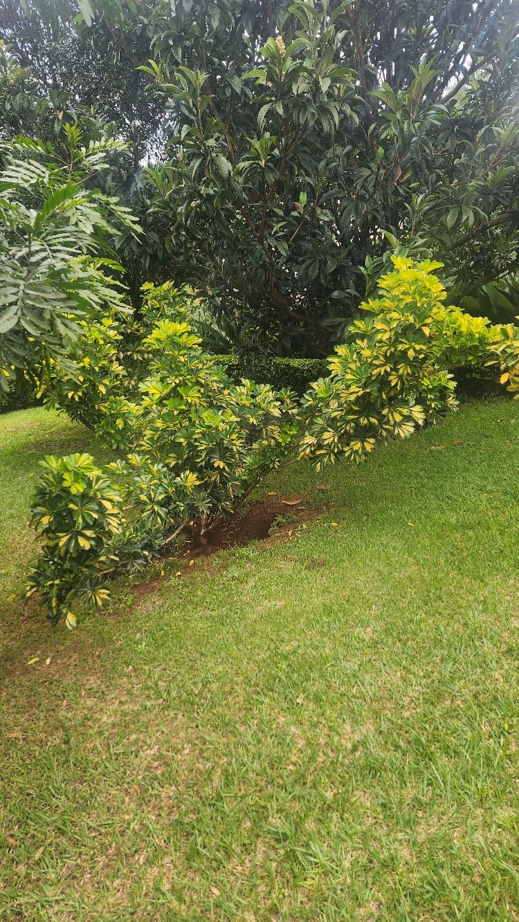 Prime Redevelopment Land - For Sale