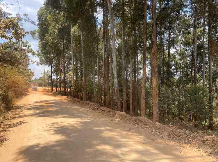 1/2 acre plot for Sale in Ruaka