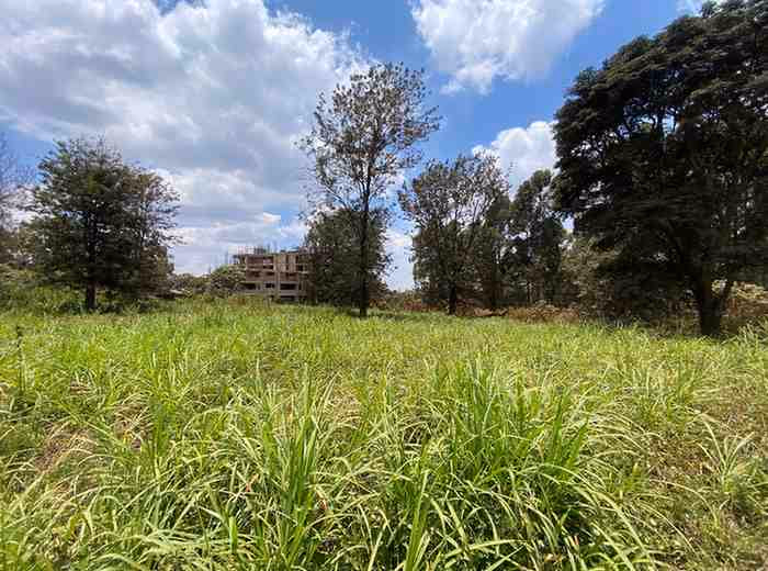 1/2 acre plot for Sale in Ruaka