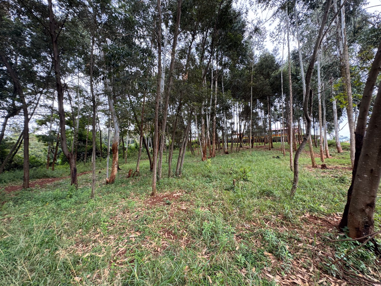 Prime ¼-Acre Plot for Sale – Muthua, Uthiru