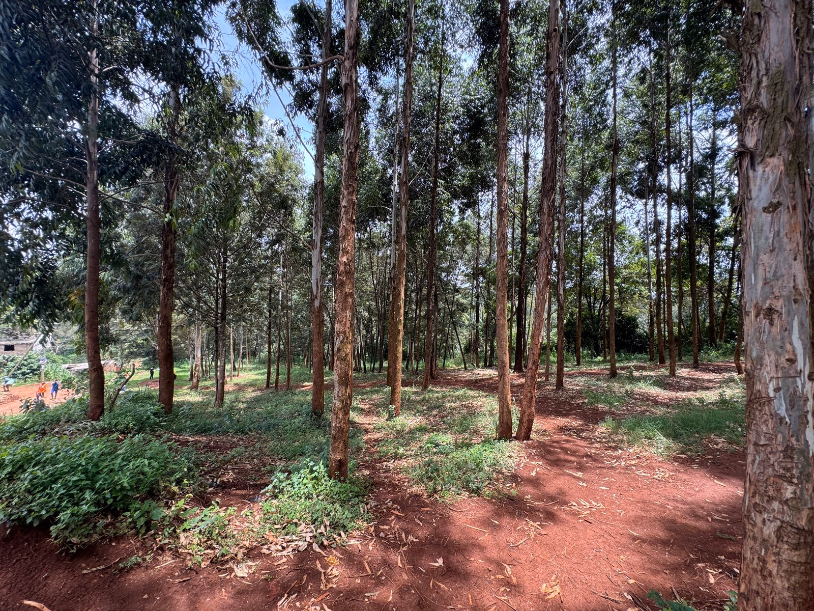 Prime ¼-Acre Plot for Sale – Muthua, Uthiru