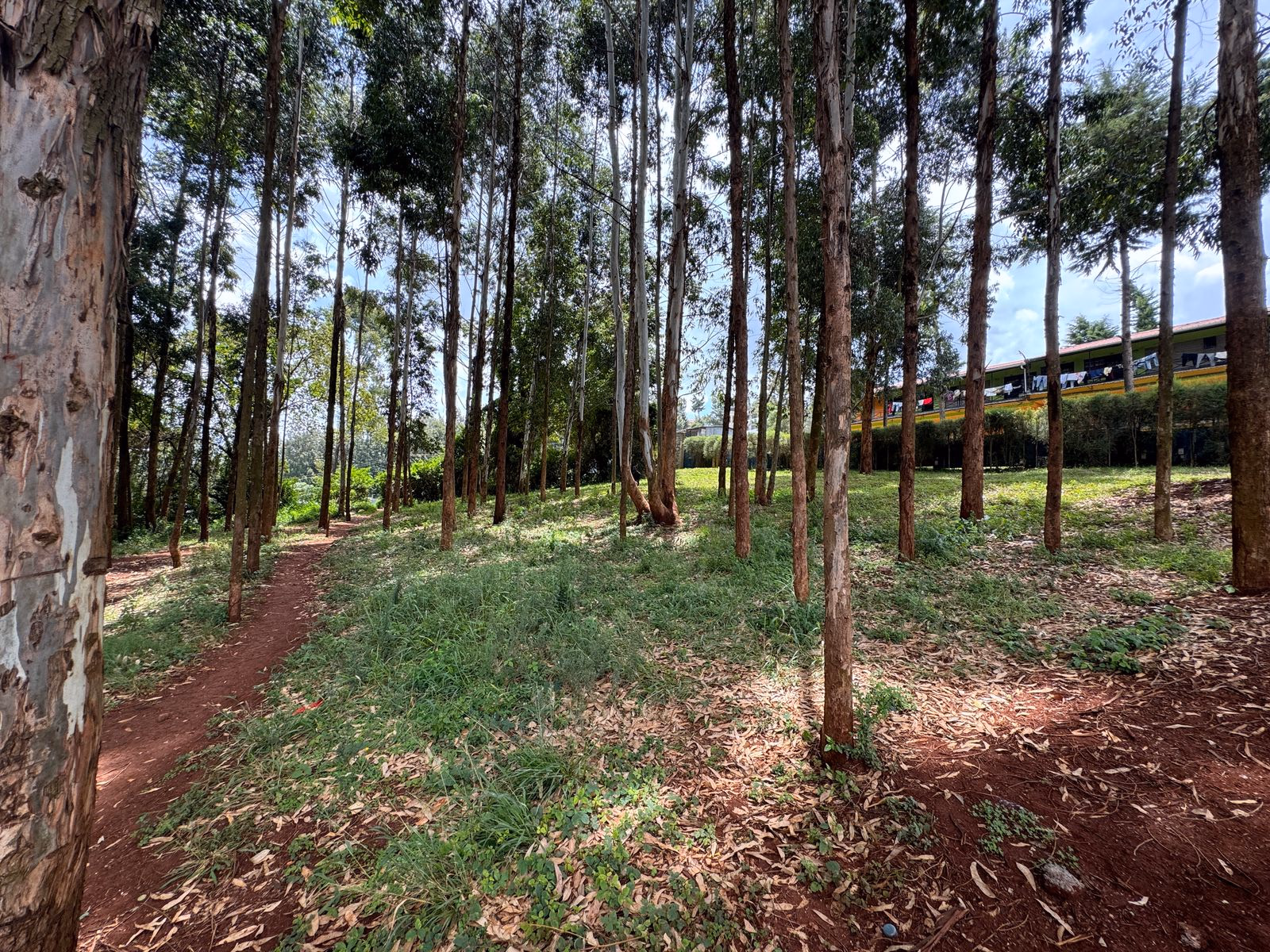 Prime ¼-Acre Plot for Sale – Muthua, Uthiru
