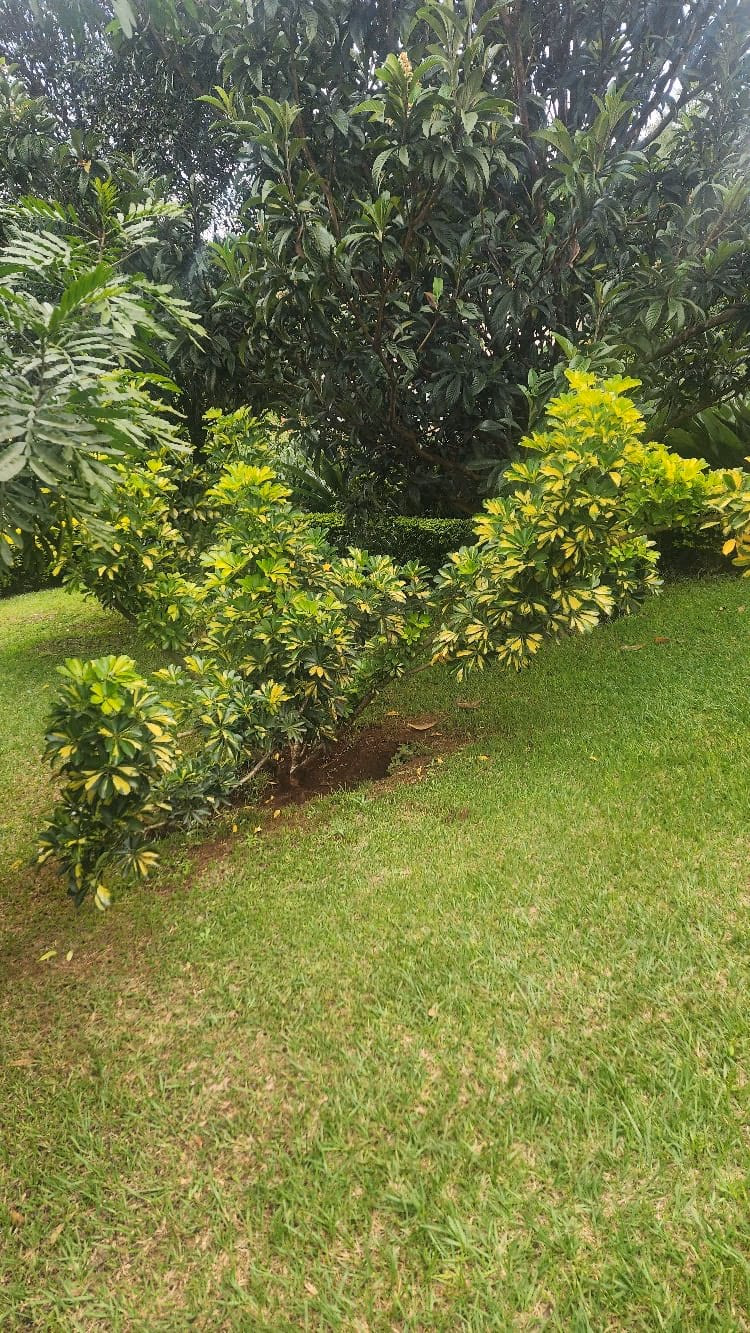 Prime Redevelopment Land - For Sale