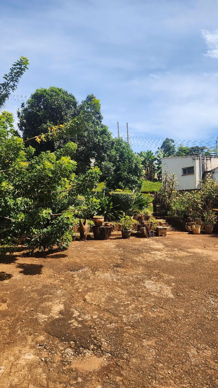 Prime Redevelopment Land - For Sale