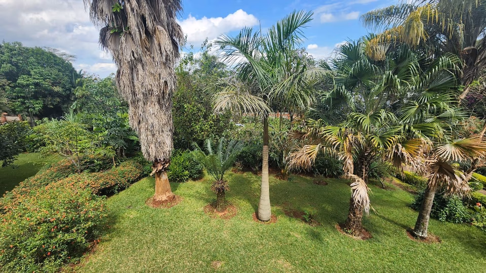 Prime Redevelopment Land - For Sale