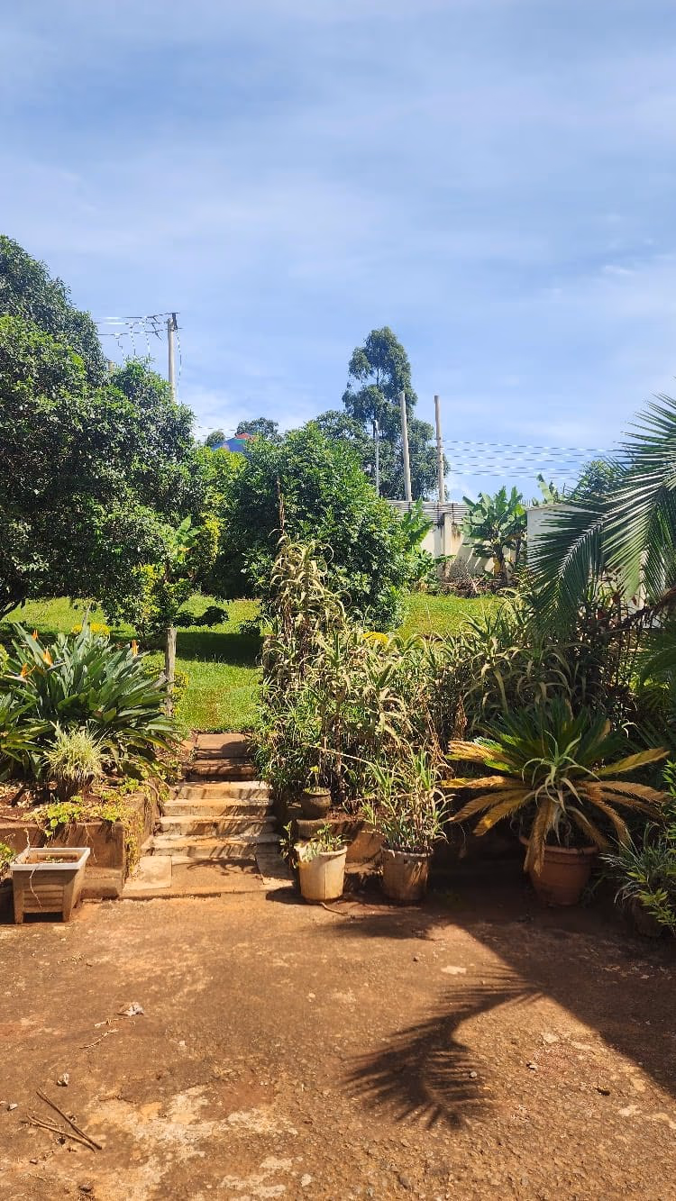 Prime Redevelopment Land - For Sale