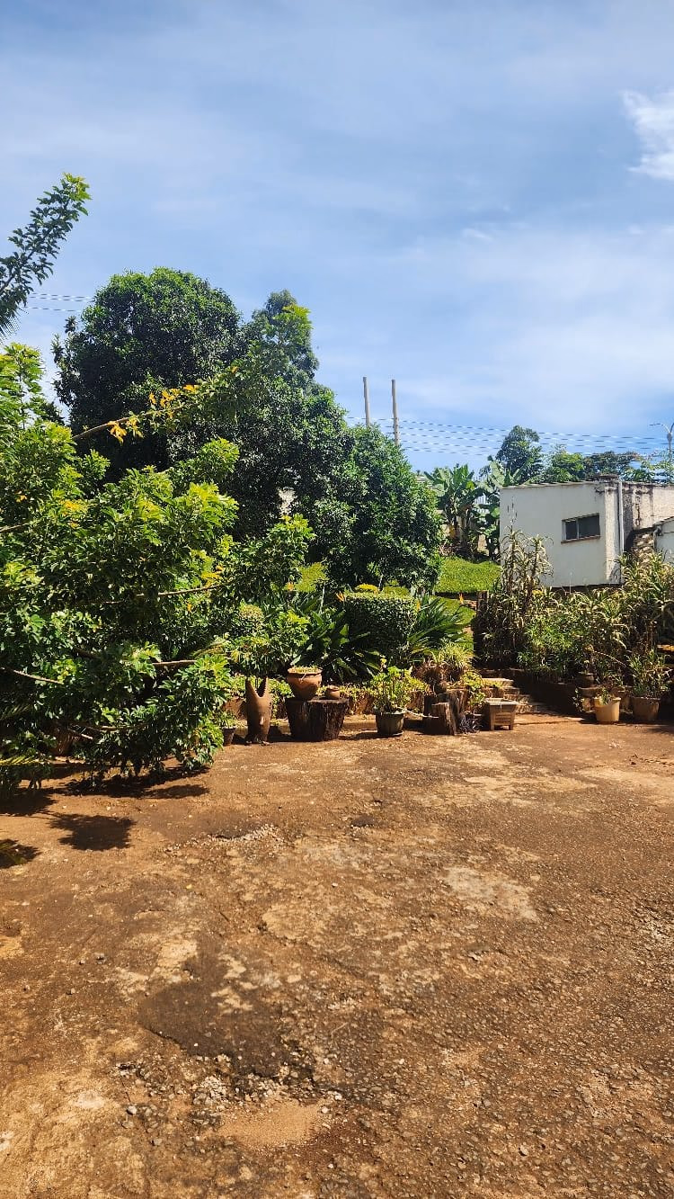Prime Redevelopment Land - For Sale