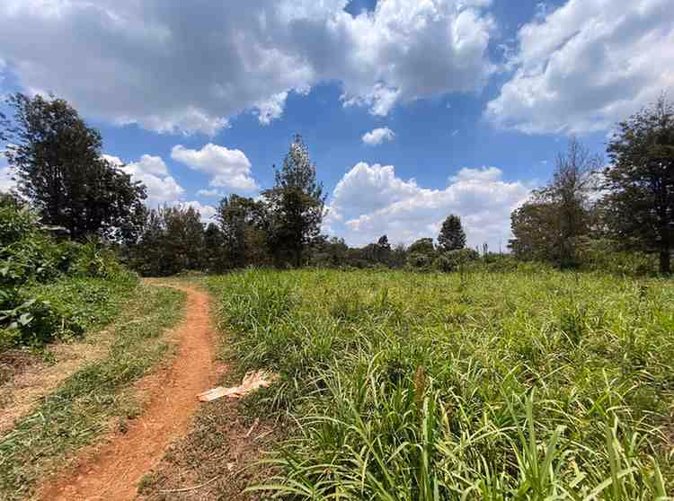 1/2 acre plot for Sale in Ruaka