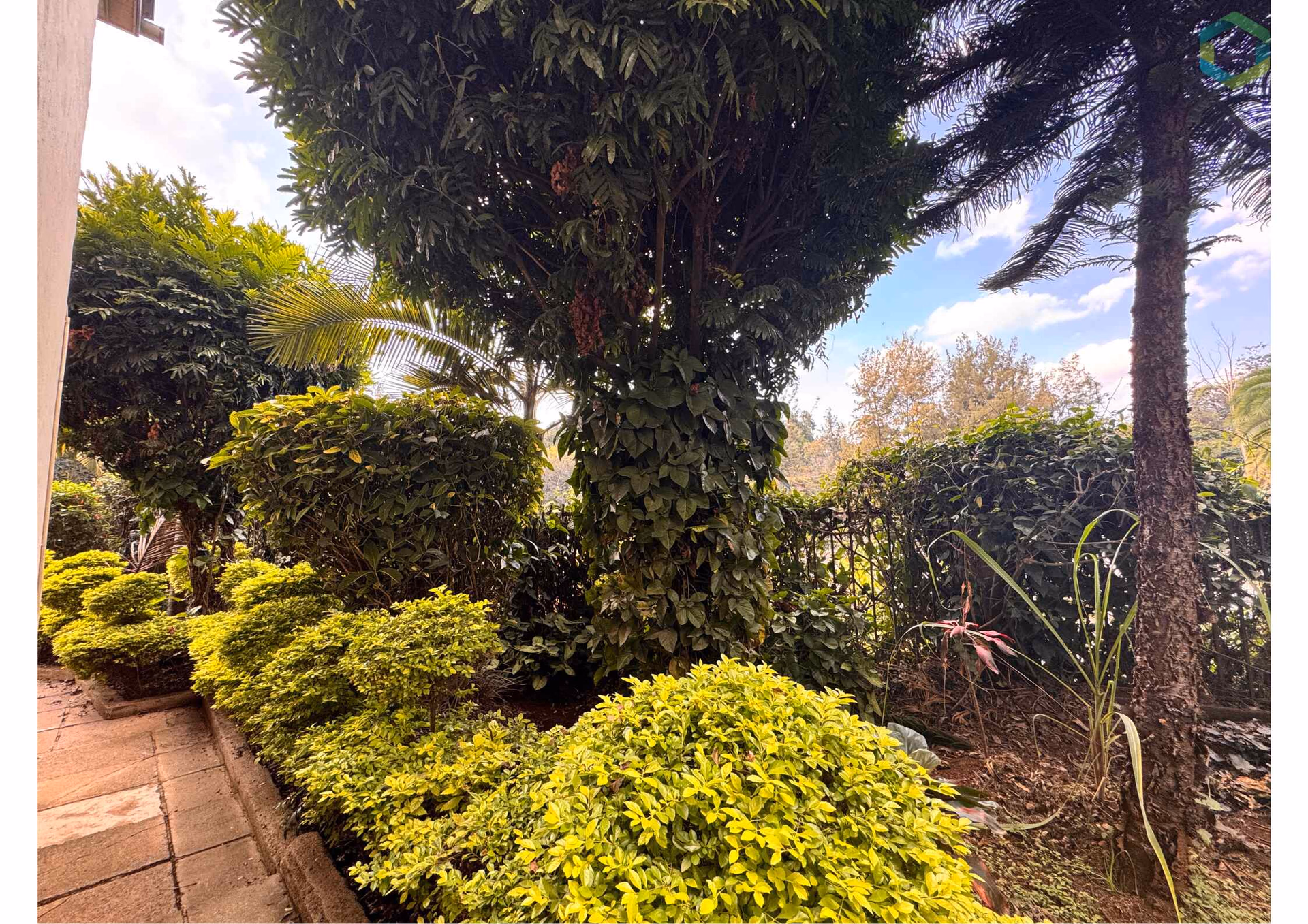 1 / 4 Acre Land in Parklands