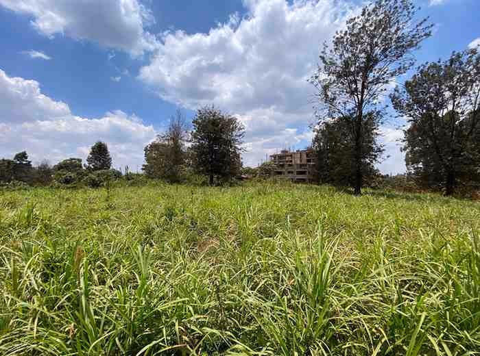 1/2 acre plot for Sale in Ruaka